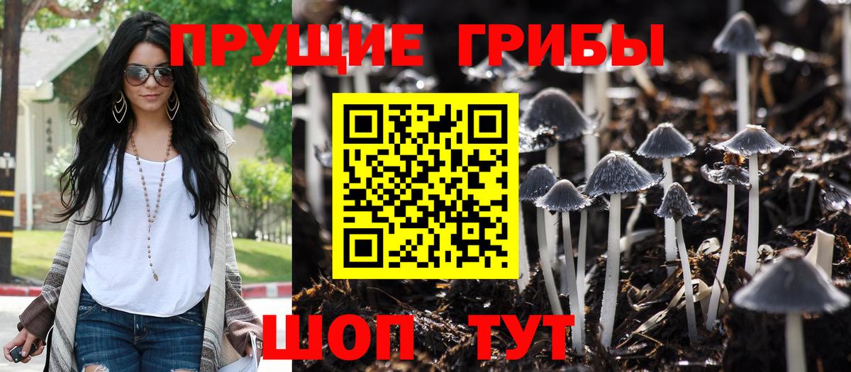 Псилоцибиновые грибы Magic Shrooms  Вход с VPN  Галлюциногенные грибы мухоморы  Норильск 